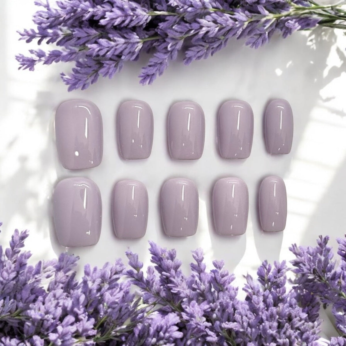 Lavender Delight 17mm(S. last one)